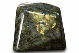 Flashy, Free-Standing Polished Labradorite - Madagascar #325173-1